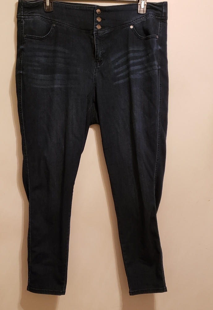 High Rise Three Button Skinny Jeans (Lane Bryant)